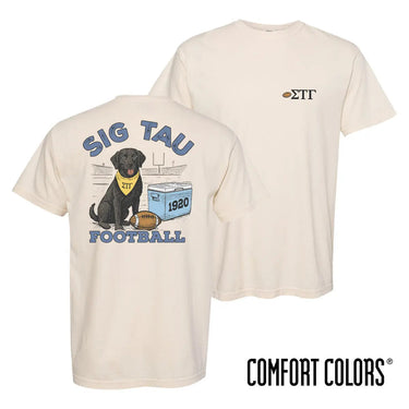 Sig Tau fraternity t-shirt featuring a black lab in a football stadium
